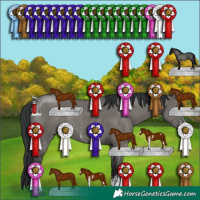 Horse Color:Grullo Sabino