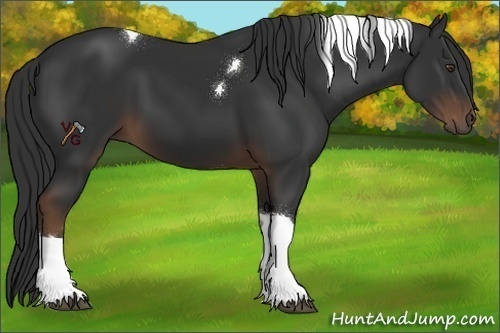 Horse Color:Liver Chestnut Tobiano 