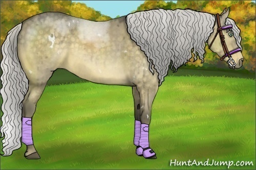 Horse Color:White Spotted Silver Buckskin Dun 