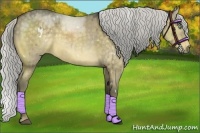 Horse Color:White Spotted Silver Buckskin Dun 