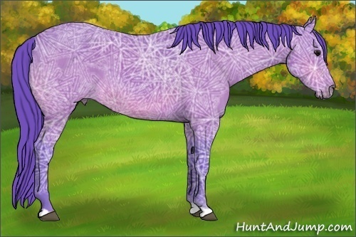 Horse Color:Watercolor Bay Ice 