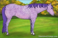 Horse Color:Watercolor Bay Ice 