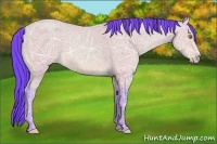 Horse Color:Watercolor Amber Champagne Ice 