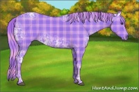 Horse Color:Watercolor Plaid  Chestnut Ice 
