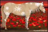 Horse Color:Red Dun Ice Roan