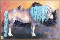 Horse Color:Watercolor White Spotted Bay Onyx Rabicano 