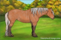 Horse Color:Bay Roan and Silver Bay Roan