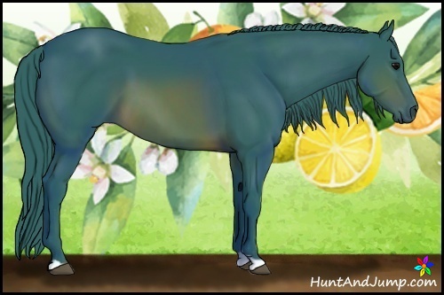 Horse Color:Watercolor Brown 