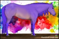 Horse Color:Watercolor Buckskin 