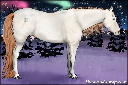 Horse Color:Classic Cream Champagne Ice Roan Pearl Appaloosa