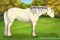 Horse Color:Palomino Ice Dun Rabicano