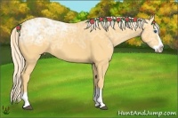Horse Color:Palomino Ice Splash 
