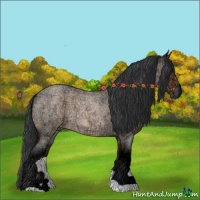 Horse Color:Bay Ice Roan Dun 