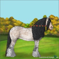 Horse Color:Brown Ice Dun