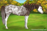 Horse Color:Liver Chestnut Ice Splash 