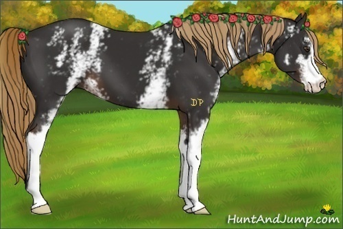 Horse Color:White Spotted Liver Chestnut Sabino 