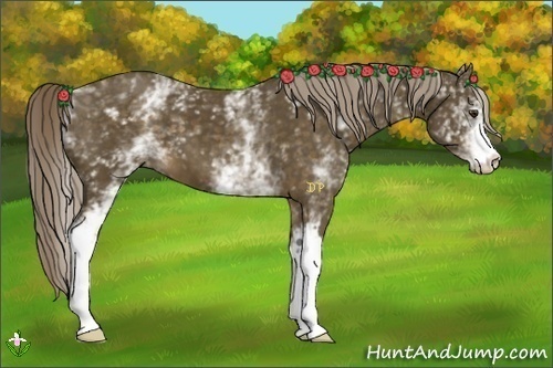 Horse Color:White Spotted Chocolate Palomino