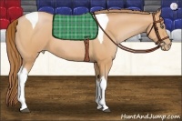 Horse Color:Bay Pearl Tobiano