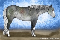 Horse Color:Silver Black Chinchilla 