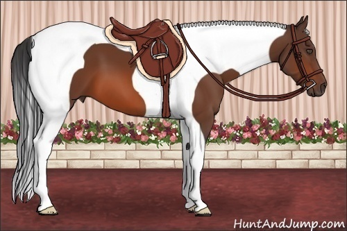 Horse Color:Bay Tobiano 