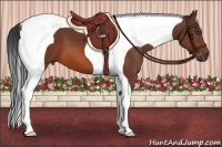 Horse Color:Bay Tobiano