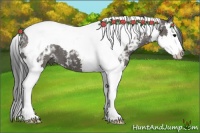 Horse Color:White Spotted Grullo Splash Tobiano