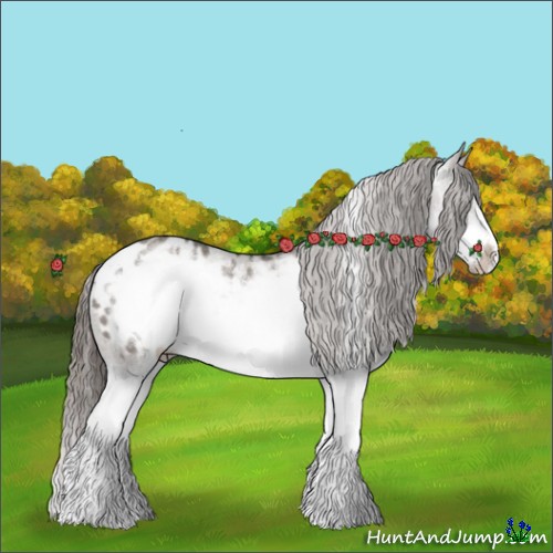 Horse Color:Grullo Sabino Splash Frame Blanket Rabicano 