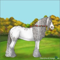 Horse Color:Grullo Sabino Splash Frame Blanket Rabicano