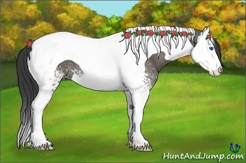 Horse Color:White Spotted Grullo Splash Tobiano 