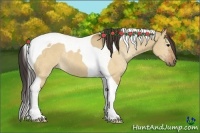 Horse Color:Buckskin Dun Tobiano Rabicano