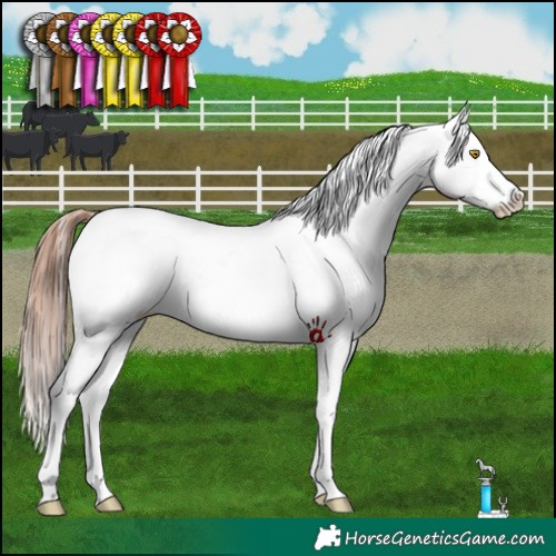 Horse Color:Amber Champagne Near Leopard and Sable Champagne Near Leopard