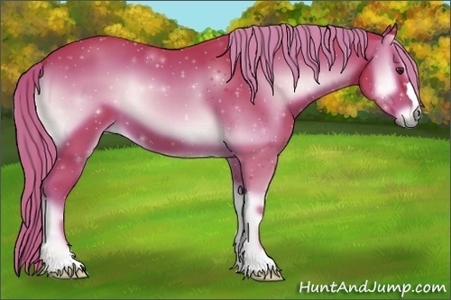 Horse Color:Watercolor Red Onyx 