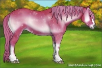 Horse Color:Watercolor Red Onyx 