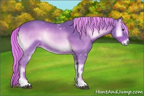 Horse Color:Watercolor Red Onyx