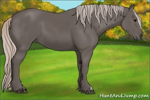 Horse Color:Silver Black 