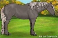 Horse Color:Silver Black 