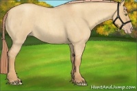 Horse Color:Gold Champagne Roan Dun 