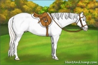 Horse Color:Gold Cream Champagne Varnish 