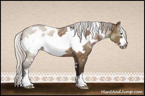 Horse Color:White Spotted Silver Brown Dun Frame