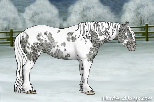 Horse Color:Watercolor White Spotted Silver Buckskin Ice Pearl Dun Tobiano Rabicano 