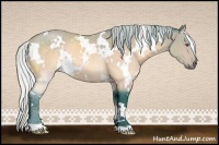 Horse Color:Watercolor White Spotted Silver Brown Chinchilla Rabicano 