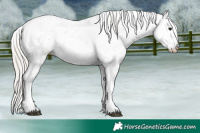 Horse Color:Silver Black Ice Sabino 