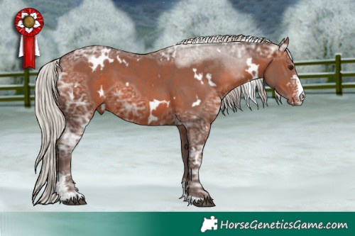 Horse Color:White Spotted Silver Brown Ice Sabino 