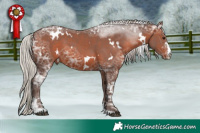 Horse Color:White Spotted Silver Brown Ice Sabino 