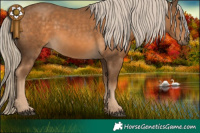 Horse Color:Chocolate Palomino 