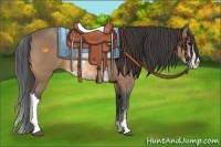 Horse Color:Buckskin Sabino