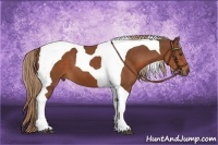 Horse Color:Chestnut Tobiano