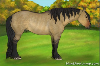 Horse Color:Gray Brown Dun Rabicano