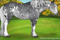 Horse Color:White Spotted Silver Black Chinchilla