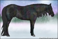 Horse Color:Midnight Black Ice